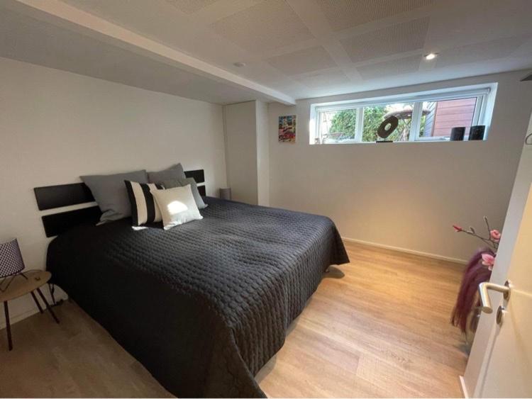 Nyistandsat Hojloftet Kaelderlejlighed Pa 70 M2 I Viborg Centrum, Med Plads Til 4 Personer エクステリア 写真